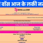 dpboss satta matka result